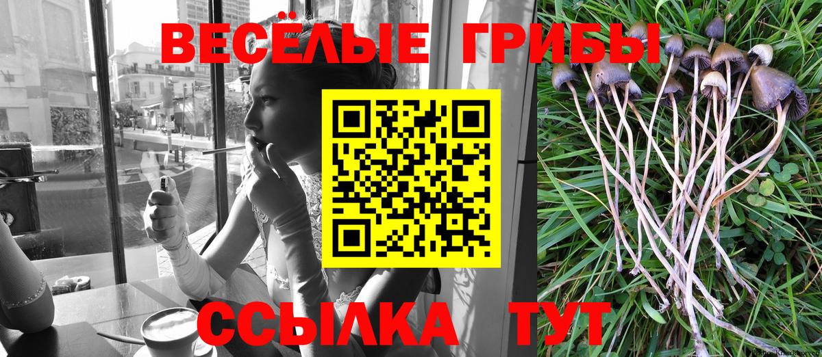 Псилоцибиновые грибы GOLDEN TEACHER  Галлюциногенные грибы прущие грибы  Вход с VPN  Павловский Посад 