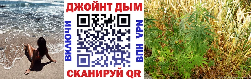 где купить наркоту  Павловский Посад  Бошки марихуана план 